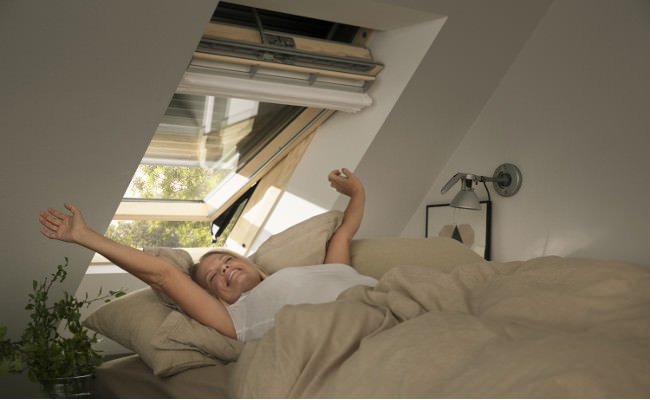 Interview Velux