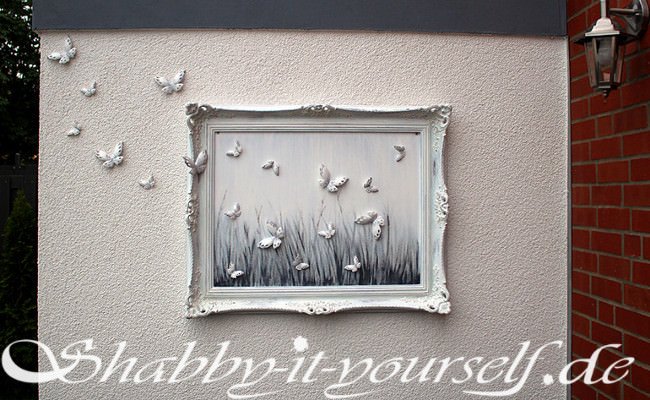 Schmetterlingsbild