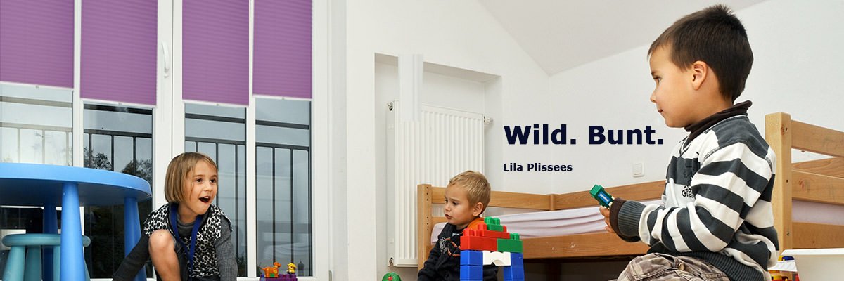 Plissees Lila Plissees Lila