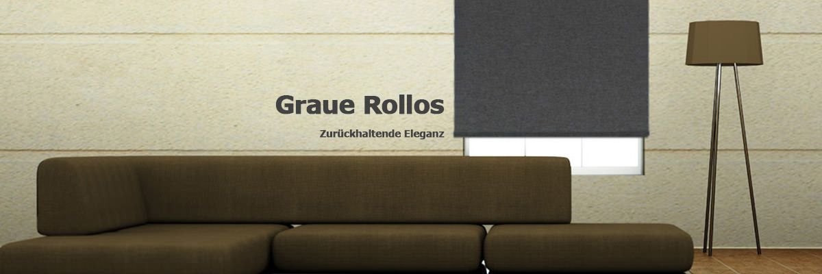 Graue Rollos Graue Rollos