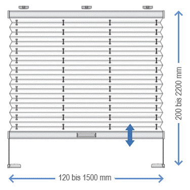 VS1 Cosiflor