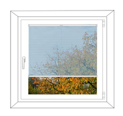 transparent transparent